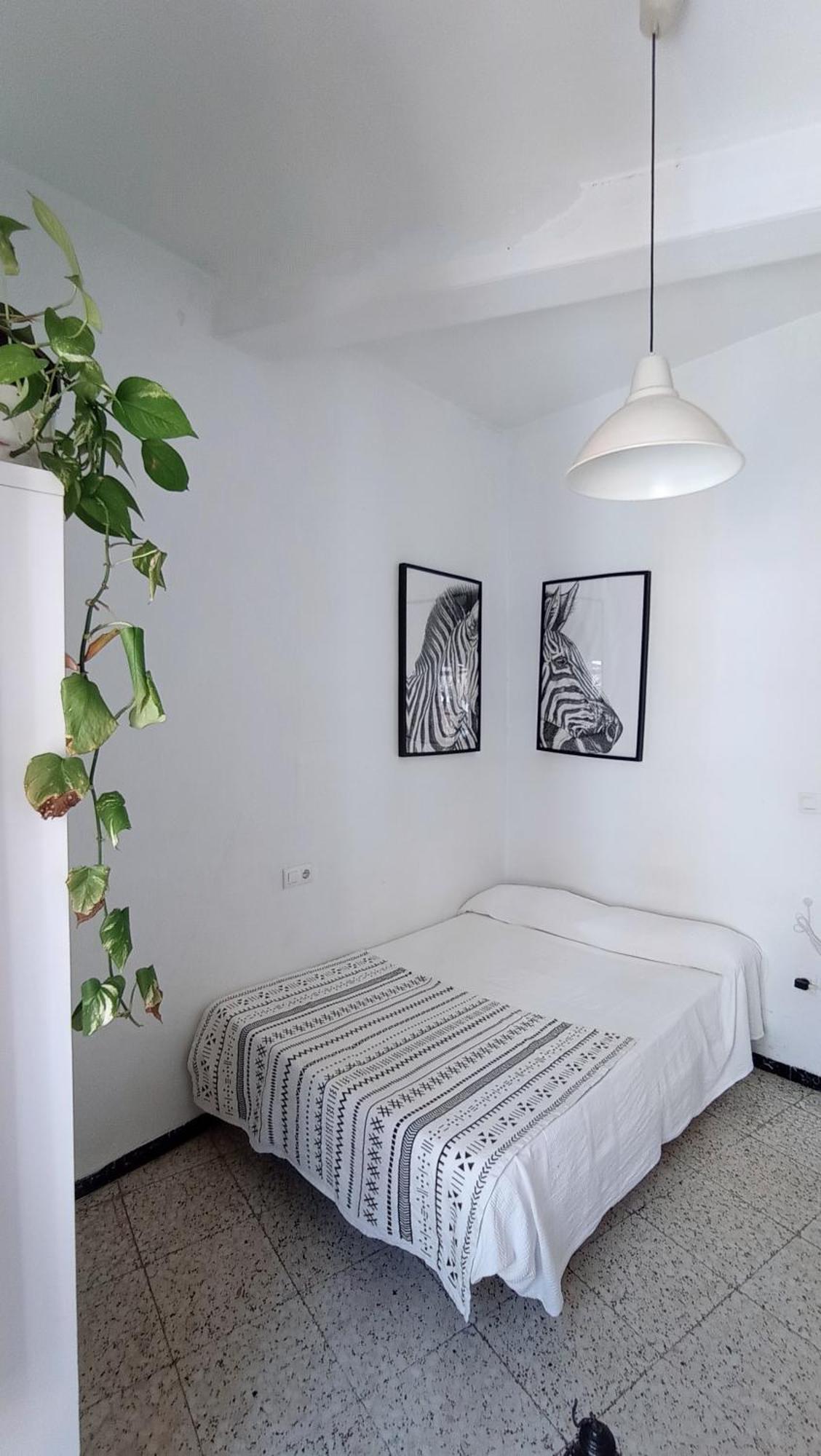 Preciosa Habitacion En Pleno Centro De Sevilla Ideal Para Hacer Turismo Y Vivir La Ciudad Exteriör bild